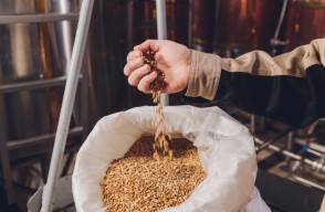 Rajasthan Wheat Market Rates on March 28