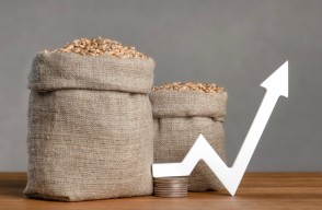 Wheat Price in Hindi: गेहूं के भाव में देखने को मिल रही तेजी, सरकार ने जारी किया नया आदेश