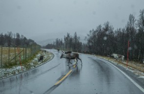 Arunachal Pradesh Weather Update Today 03 April 2024: Heavy Rain and Snowfall Expected in Mountainous Regions, IMD Weather Report