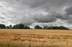 Delhi Weather Update Today 04 April 2024 in Hindi: दिल्ली में छाए रहेंगे बादल, दिल्ली में आज का वायु गुणवत्ता सूचकांक, जानें IMD का अपडेट