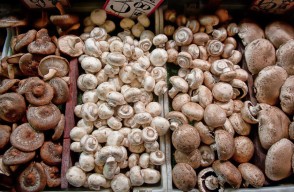 Mushroom Mandi Rate Today in Hindi: दिल्ली, हरियाणा और पंजाब की विभिन्न मंडियों में मशरूम का मंडी भाव आज का (06 अप्रैल 2024) आइए Khetivyapar पर जानें