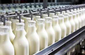 Dairy industry Expo 2024 in Pune india, Promoting Dairy Products