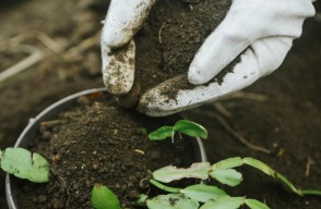किसान भाई ध्यान दें, कृषि के लिए सबसे अच्छा उर्वरक कौन सा है इनके कितने प्रकार हैं...कैसे करें इस्तेमाल, आइए Khetivyapar पर जानें