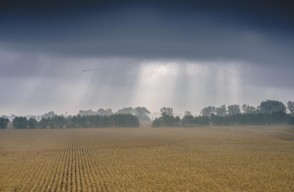 Delhi Weather Update Today 09 April 2024: Rain Expected in Delhi from April 11, Heatwave Persists in Southern Indian