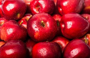 Apple Mandi Bhav Today in Azadpur in Hindi: आजादपुर में सेब का मंडी भाव आज का (10 अप्रैल 2024) आइए Khetivyapar पर जानें