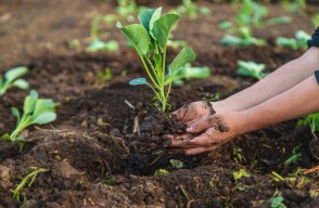 छोटे खेतों के लिए कृषि अपशिष्ट प्रबंधन, एक स्थायी समाधान और मिट्टी के स्वास्थ्य का बेहतरीन उपाय, आइए जानें Khetivyapar पर