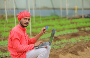 UPPSC Agriculture Services Recruitment 2024, Apply For 268 Vacancy, Know on khetivyapar