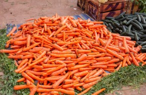Carrot Price Today in Delhi and Rajasthan in Hindi: दिल्ली और राजस्थान में गाजर का मंडी भाव आज का (17 अप्रैल 2024) आइए Khetivyapar पर जानें
