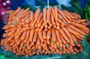Carrot Price Today in NCT of Delhi and Rajasthan On (17 April 2024) Know on Khetivyapar