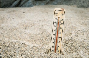 Weather Today in Madhya Pradesh: मध्य प्रदेश गर्म तवे की तरह तप रहा है, आज इन जिलों में 40 डिग्री पार तापमान, जानें आज के मौसम का हाल, आइए Khetivyapar पर जानें