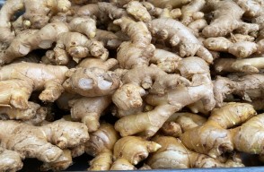 Ginger Rate Today In Punjab: पंजाब में अदरक का मंडी भाव आज का (19 अप्रैल 2024) आइए Khetivyapar पर जानें