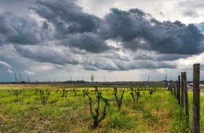 Aaj Ka Mausam 22 April 2024: IMD Predicts Relief from Heat in Delhi and Possibility of Thunderstorms and Rain, Know on khetivyapar