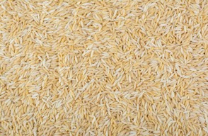 Rice Price Today (25 April 2024) in Madhya Pradesh, Know on khetivyapar
