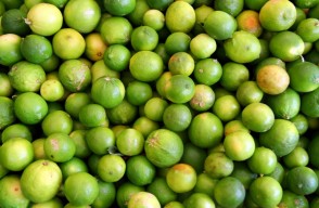 Mosambi (Sweet Lime) Rate Today (26 April 2024) in Uttar Pradesh, Know on khetivyapar