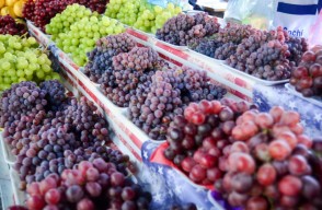 दिल्ली और राजस्थान में अंगूर का मंडी भाव आज का (27 अप्रैल 2024) आइए Khetivyapar पर जानें