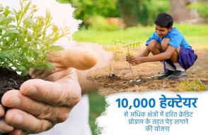 Green Credit Scheme, Recognition of Planting Trees in Areas Exceeding 10,000 Hectares, Know on khetivyapar