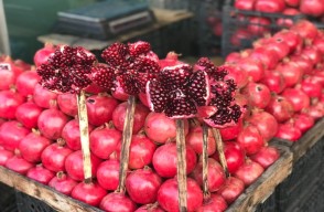 Pomegranate Rate Today (29 April 2024) in Uttar Pradesh, Know on khetivyapar