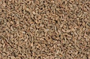 Ajwain (Carom Seeds) Price Today (30 April 2024) in Gujarat, Know on khetivyapar