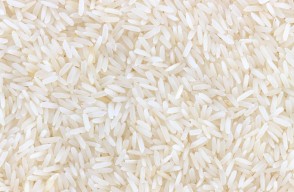 Rice Rate Today in (01 May 2024) Uttar Pradesh