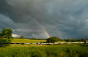 Delhi Rain Forecast: Delhi May Witness Rain on May 4th and 7th, Varied Conditions Expected in Northern India