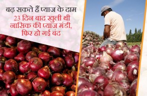 Onion Prices Might increase, Nashik Onion Market Opened After 23 Days, Know on khetivyapar