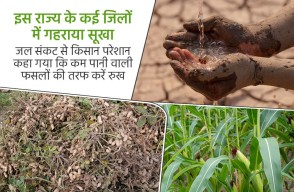 Water Shortages Compound Tamil Nadu Farmers Distress Across Multiple Districts, Know on Khetivyapar