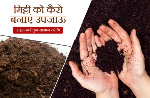Techniques for Improving Soil Health and Fertility, Know on khetivyapar