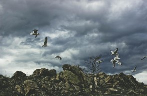 UP weather today: भीषण गर्मी के बीच आ गई खुशखबरी, पंजाब-हरियाणा और उत्तर प्रदेश में 4 से 6 मई तक इन जगहों पर बारिश की संभावना, पढ़ें IMD की रिपोर्ट