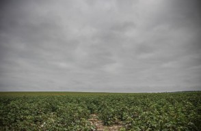 Weather today: Delhi to Experience Rise in Temperature from Today, Weather Conditions Across North India