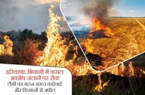 Bhiwani News: हरियाणा, भिवानी में फसल अवशेष जलाने पर रोक, टीमों का गठन, सख्त कार्रवाई और किसानों से अपील