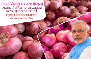 Onion Export: Government Lifts Ban On Onion Exports, Fixes Minimum Export Price at $550 per ton, Check Minimum Export Price Here