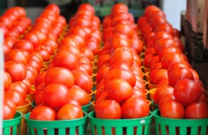 Tomato price today: राजस्थान में टमाटर का मंडी भाव आज का (07 मई 2024)