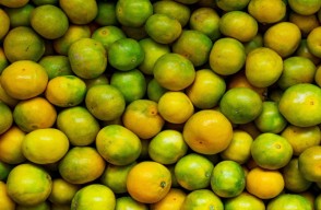Mosambi (sweet lime) price today (09 May 2024) in Delhi and Rajasthan