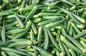 Bhindi (Ladies Finger) mandi price today (09 May 2024) in Delhi and Uttar Pradesh
