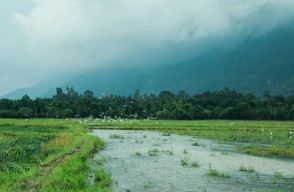 Aaj Ka Mausam 13 May 2024: Weather Forecast, May 13-17 Outlook for Rainfall and Heatwaves Across States