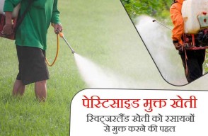 पेस्टिसाइड मुक्त खेती स्विट्जरलैंड खेती को रसायनों से मुक्त करने की पहल