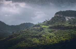 Monsoon Update 2024: Heavy Rainfall Alert in Kerala, Tamil Nadu, and Other States Today