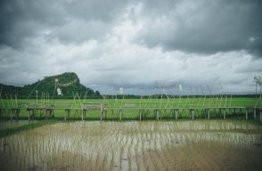 Monsoon Wave Alert: Heavy Rain Forecast for Major Cities in Bihar from May 22nd to 26th