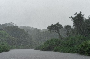 Monsoon Update 2024: Heavy Rainfall Expected in Several Southwestern Regions, Alerts Issued