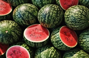 Watermelon Rate Today: दिल्ली, मध्य प्रदेश और राजस्थान में तरबूज की कीमतें आज का (28 मई 2024)