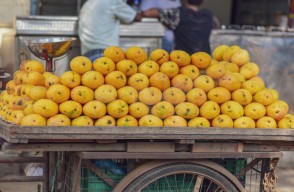 Mango Price Today (29 May 2024) in Haryana