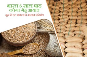 भारत 6 साल बाद करेगा गेहूं आयात, जून से हट सकता है आयात प्रतिबंध