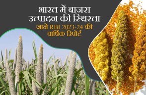 भारत में बाजरा उत्पादन की स्थिरता, जाने RBI 2023-24 की वार्षिक रिपोर्ट