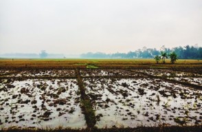 Madhya Pradesh Weather Today: Rain Expected in These Districts of Madhya Pradesh