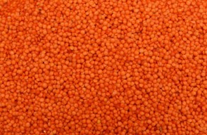 Lentil Rate Today: उत्तर प्रदेश और महाराष्ट्र में मसूर दाल के ताजा भाव (6 जून 2024)