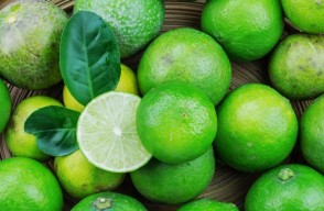 Current Mosambi (Sweet Lime) Price Today (08 June 2024) In Rajasthan