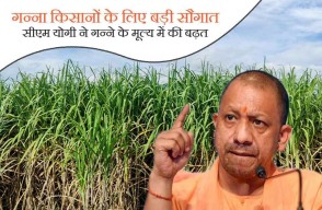 UP News: गन्ना किसानों के लिए बड़ी सौगात, सीएम योगी ने गन्ने के मूल्य में की बढ़त