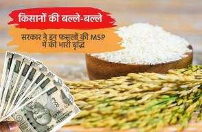 Big Decision for Farmers, Government will increase MSP for these Crops