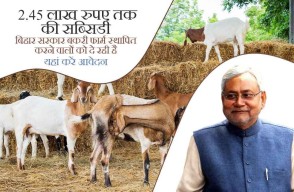 Bihar Bakri Palan Yojana 2024: बिहार सरकार बकरी फार्म स्थापित करने वालों को दे रही है, 2.45 लाख रुपए तक की सब्सिडी, यहां करें आवेदन