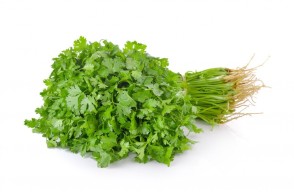 Green Coriander Rate Today: राजस्थान और छत्तीसगढ़ में हरी धनिया का मंडी भाव आज का (14 जून 2024)